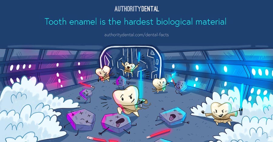 Cartoon stating that tooth enamel if the hardest biological material.